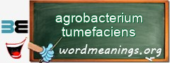 WordMeaning blackboard for agrobacterium tumefaciens